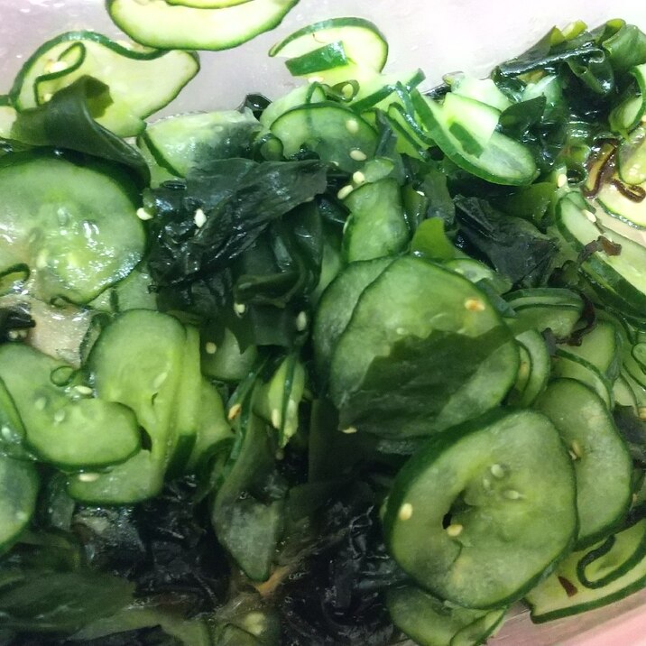 キュウリとワカメの酢の物☆お弁当に!